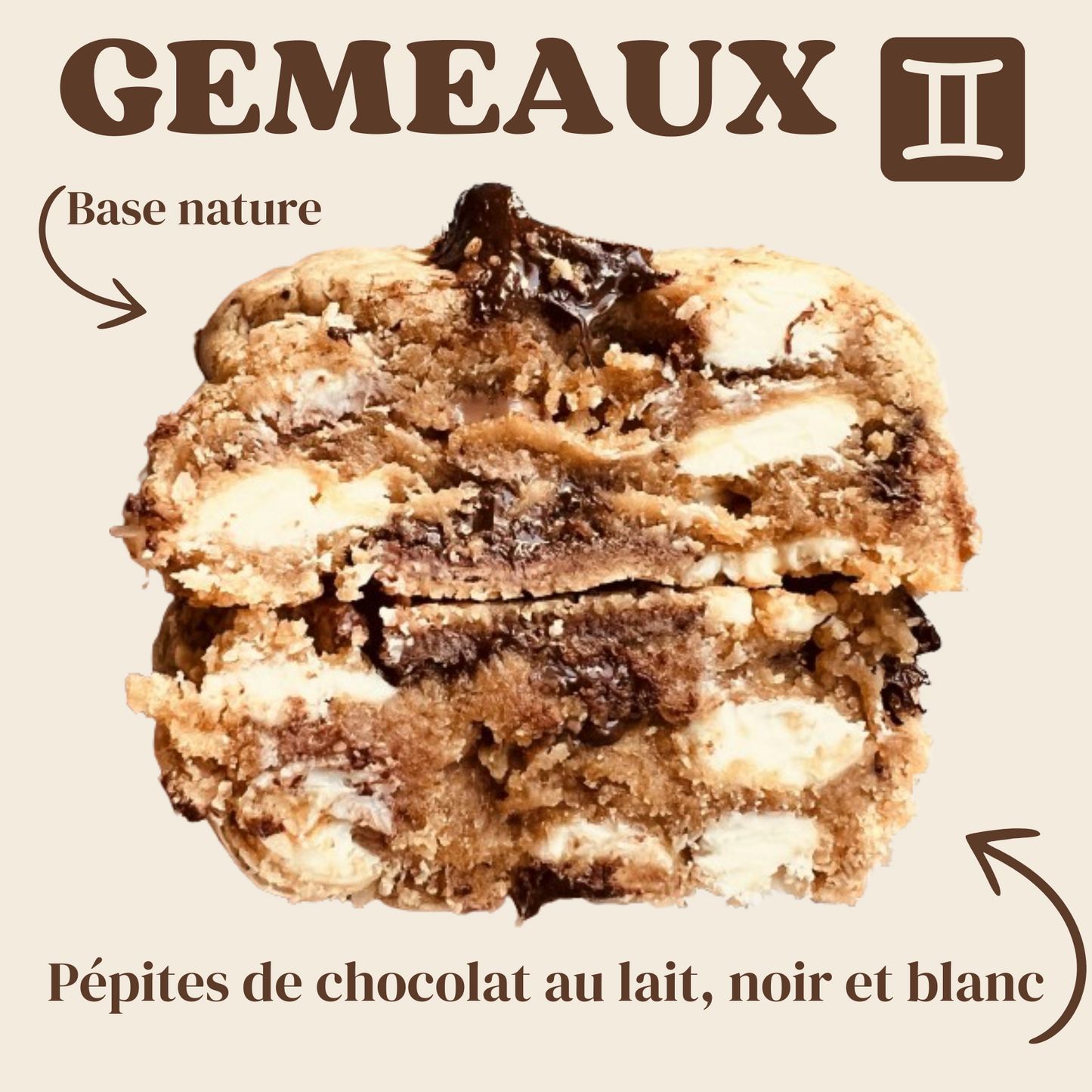 Gémeaux ♊️
